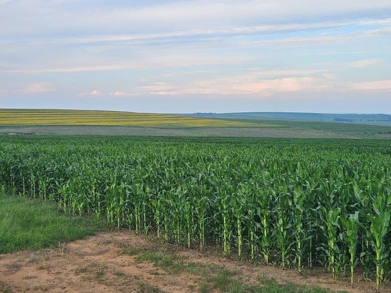 8 Bedroom Property for Sale in Bethlehem Rural Free State